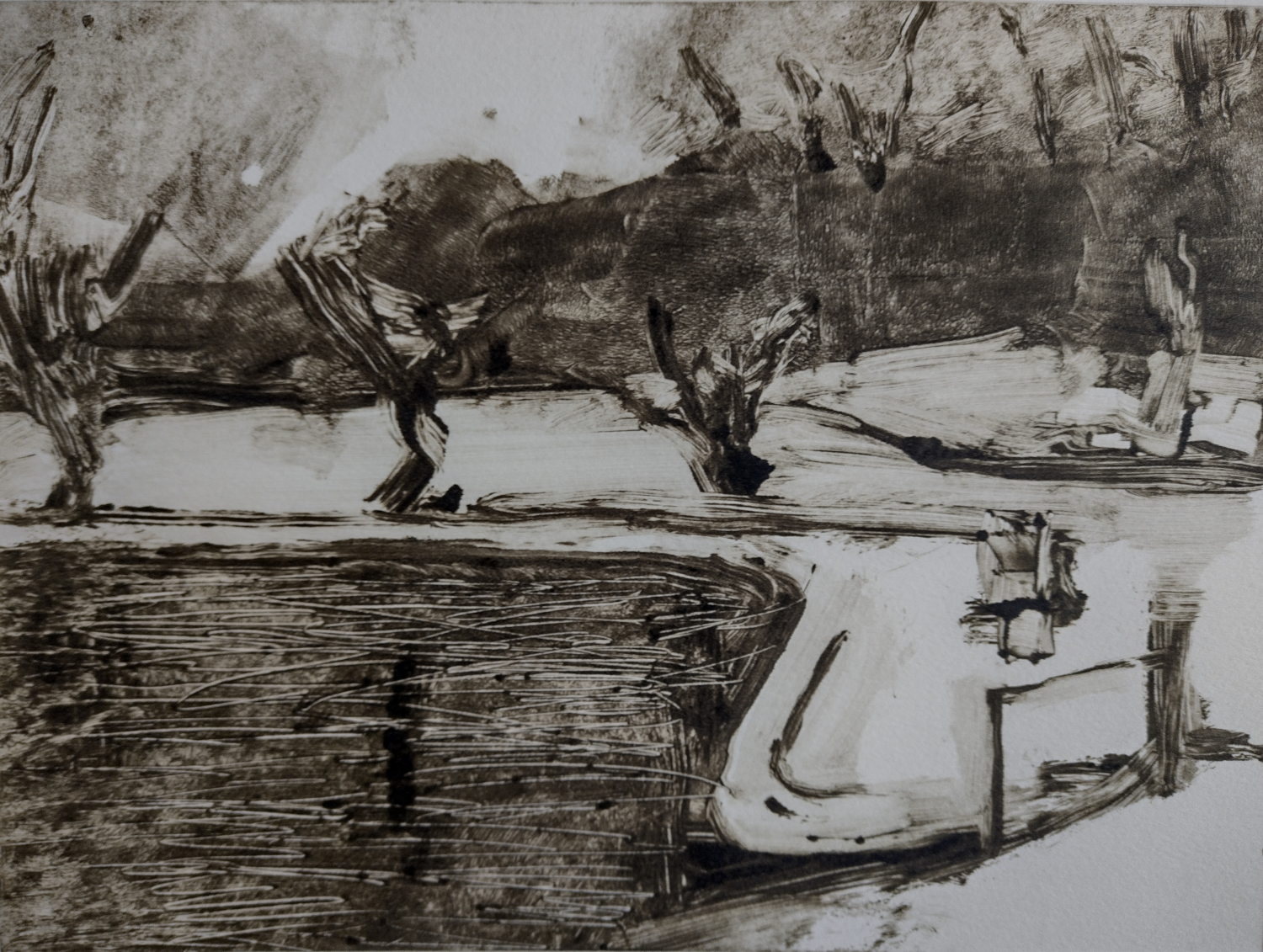 Monochrome monotype print suggesting pond and trees